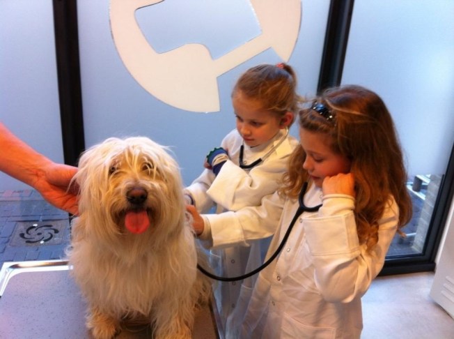 Met Tibby bij de dierenarts samen met Aimee